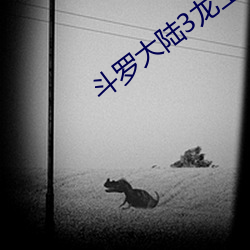 斗罗大陆3龙王传说小说