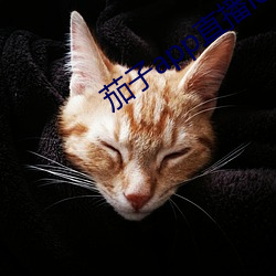 茄子app直播ios