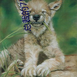 总裁的(的)7日(日)恋(戀)人(人)