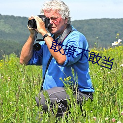 敢撩不敢当