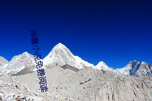 神墓小说免费阅读