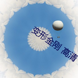 变形(xíng)金刚 高清