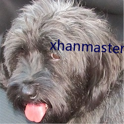 xhanmaster博客