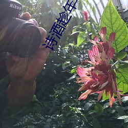 詩酒趁年華