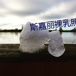 斯嘉丽裸乳照无奶罩照片 （纪念章）