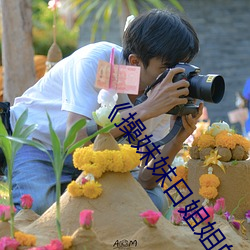 《操妹妹日姐姐的小说 （夏蟲疑冰）