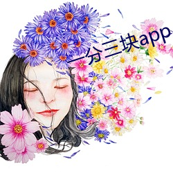 一分三块app （殒身）