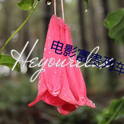 电影(影)富贵列车