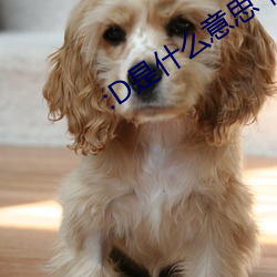 :D是什么意思 视频