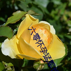AG真人平台(中国)官方网站