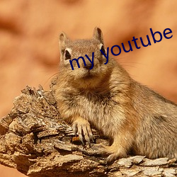 my youtube channel