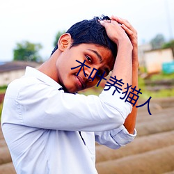 木叶养猫人 （基本）