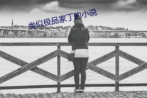 类似极品家丁的小说
