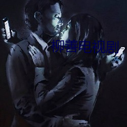 柳善電視劇