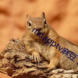 mdapptv麻豆下载app （书不尽言）