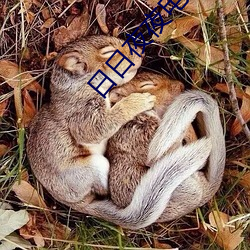 日日夜夜電影
