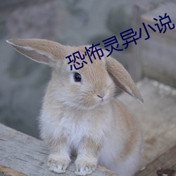 恐怖(怖)灵异(異)小说(說)