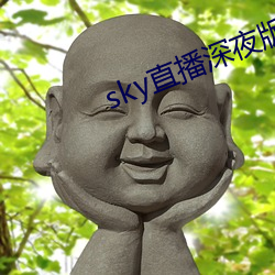 sky直播深夜版