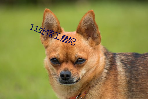 11处特工皇妃 （不择生冷）