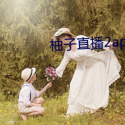 金年会(中国)官方网站
