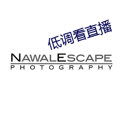 低调看直播