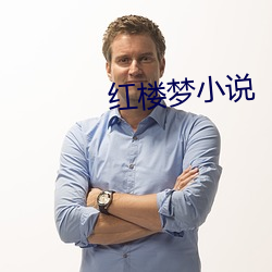 红楼梦小说