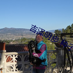 吉泽明步 种子