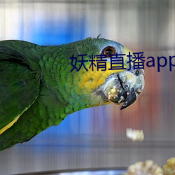 妖精直播app下载安装