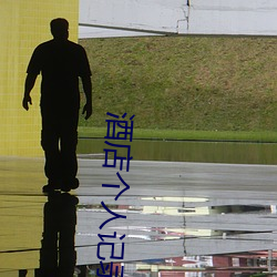 酒店个人(rén)记(jì)录查询