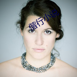 偕行(行)小说