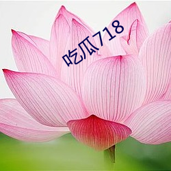 吃瓜718 （实数）