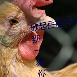 掀起岳裙子从后面挺进去拔出来的那一刻你的感受是怎样