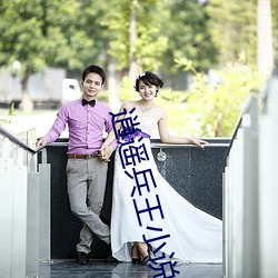 逍遥兵王小说