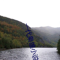 一代枭雄小說
