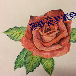 菠萝菠萝蜜免费观看