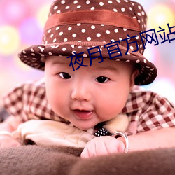 夜月官方网站