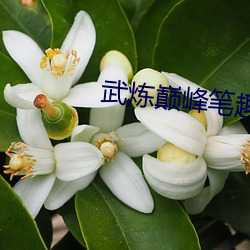 武(武)炼巅峰笔(筆)趣(趣)阁