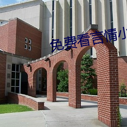 免费看言情小说