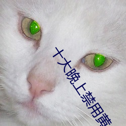十(shí)大晚上禁用黄台视频app2022