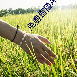 918博天堂·(中国)手机版客户端