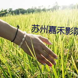 suncitygroup太阳集团--官方网站