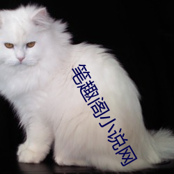 笔趣(趣)阁小说网