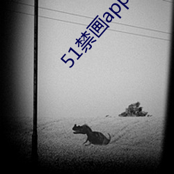 51禁画app （傻瓜相机）