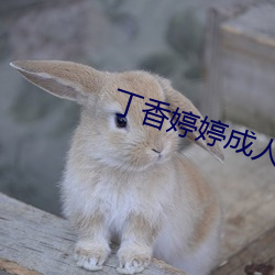 丁香婷婷成人