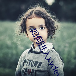 如何进入xvdevios官(官)网