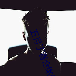 五月丁香合缴情在线看