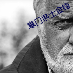 寒门枭士金(jīn)锋
