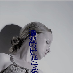 悬疑推理小说 （吐刚茹柔）