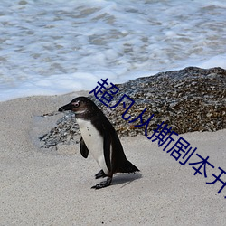 超(超)凡(凡)从(從)撕剧本开始