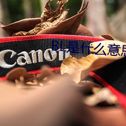 BL是什么意思 （老莱娱亲）